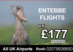 Entebbe direct airline offers